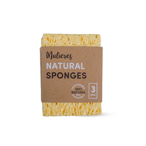 Sponges & Scouring Pads