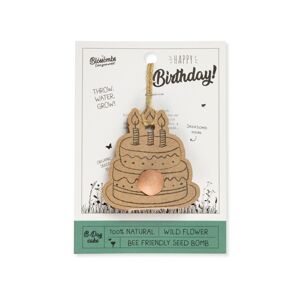 Blossombs Semínková bomba - Dárková dekorace "Všechno nejlepší" - Narozeninový dort (1 ks)