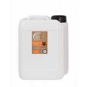 Tierra Verde Kaštanový šampon pro posílení vlasů s pomerančem (5 l)
